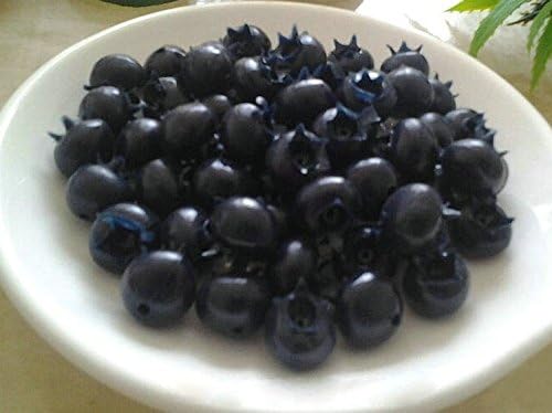 Gracelife Artificial Blueberry Decorate Fake Fruit Berries Bag of 100 (With hole,also can be used for Earring Pendant)