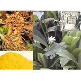Bulk Turmeric Root Ground Alleppey 5% curcumin 25 Pound box Kosher by Frontier