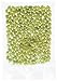 JUICY PEAR Jelly Belly Beans ~ 1/2 Pound