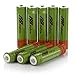 FlePowTM 8pack AAA Battery 1.2V Ni-MH High Capacity 1000mAh Pre-charged Low Self-discharge Rechargeable Batteries
