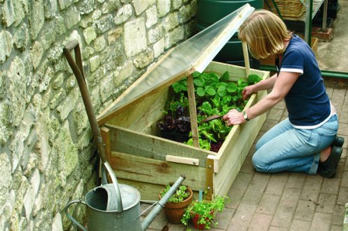 Hawthorns Regal Coldframe