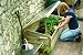 Hawthorns Regal Coldframe