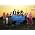 Thumbnail image of Glee Cast