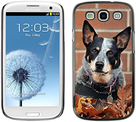 ZOOCASE Slim PC / Aluminium Sleek Case Cover Armor Shell - rat terrier toy fox small dog autumn fall - Samsung Galaxy S3