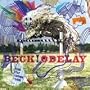 Odelay - 10th Anniversary Edition [Vinyl]