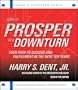 How to Prosper in a Downturn: Your Path to Success and Fulfillment in the Next Ten Years