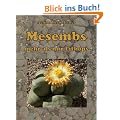 Mesembs - mehr als nur Lithops