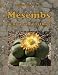 Mesembs - mehr als nur Lithops (German Edition)
