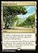 Magic: the Gathering - Exotic Orchard (295/351) - Commander 2016