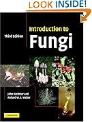 Introduction to Fungi
