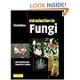 Introduction to Fungi