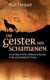Produkt-Bild: Die Geister des Schamanen: Unsichtbare Heiler, Helfer und Berater in der schamanischen Praxis