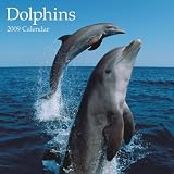 Dolphins 2009 Calendar