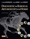Diagnostic and surgical arthroscopy in the horse