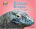 Komodo Dragon: The World's Biggest Lizard (Supersized!) by Natalie Lunis