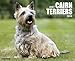 Just Cairn Terriers 2014 Wall Calendar