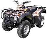 ATV 250cc Water-Cooled