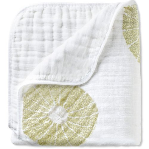 aden and anais organic