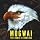 The Hawk Is Howling