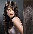 Hair Collection-16" #2 Dark Brown Italian Remy Human Hair Clip in on Extensions