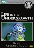 Life in the Undergrowth (Repackaged) [DVD]