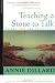 Teaching a Stone to Talk
