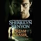 dream chaser (A Dream-Hunter Novel)