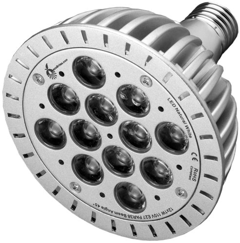 ecoBrites Hi-Brites eco-friendly & energy efficient LED Light Bulb 12x1w (to replace 100w incandescent)