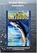 PALM BEACH SAILFISHING