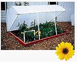 Solexx Deluxe Cold Frame