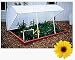 Solexx Deluxe Cold Frame