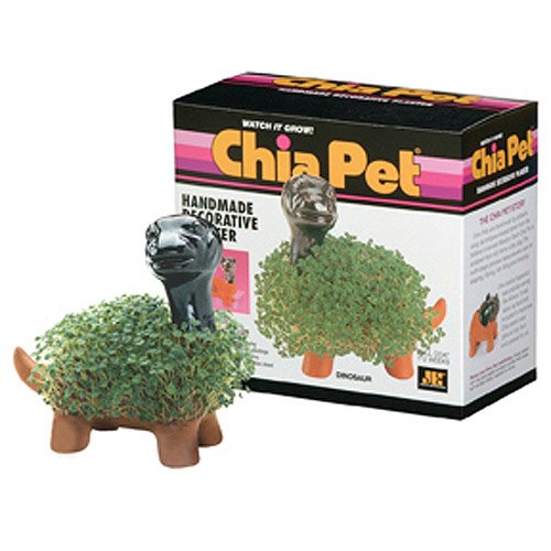 Erma Potts ** Cheap As Seen on TV Chia Pets Chia Dinosaur best price