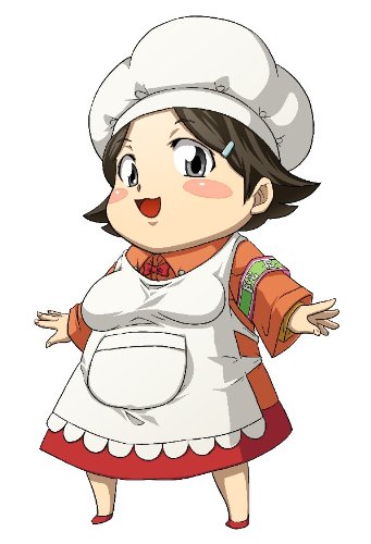 未来日記 -13人目の日記所有者-