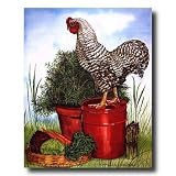 Barred Plymouth Rock Rooster Chicken Country Wall Picture Art Print