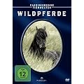 Faszinierende Tierwelten: Wildpferde