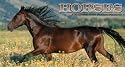 HORSES 2010 Pocket Planner Calendar