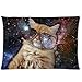 Cool Cat Outer Galaxy Space Custom Zippered Pillowcase Pillow Cases Cover 20 X 30 Inch (twin side)