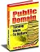 Internet Marketing - Public Domain - Turning Ideas Into Dollars!