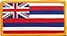 HAWAII Flag VELCRO Patch MC Biker Military / Police / Security Tactical Shoulder Emblem #201