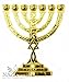 Messianic Temple Menorah 7 Branches Star of David Israel