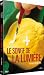Le Songe de la lumière