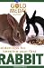 Golden Tips for Keeping Your First Rabbit (Gold Medal Guide)