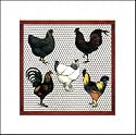 Chicken Coop I by Peggy Jo Ackley Art Print Poster