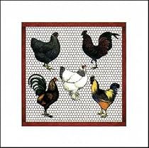 Chicken Coop I by Peggy Jo Ackley Art Print Poster