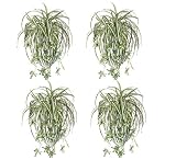 FOUR 28" Spider Artificial Hanging Bushes with Babies