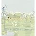End of the World Party (Just in Case) [Vinyl]