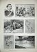 1888 Elephant Hunting Berbera Africa Gulf Aden Sport