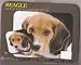 beagle10 - Beagle Mouse Pad and Coasters Set of 2