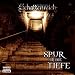 Schattenreich - Folge 3: Spur in die Tiefe. H�rspiel-Sonderausgabe.