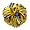 Bright Gold/Royal Blue